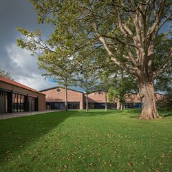 A meadow with museum halls in the background
